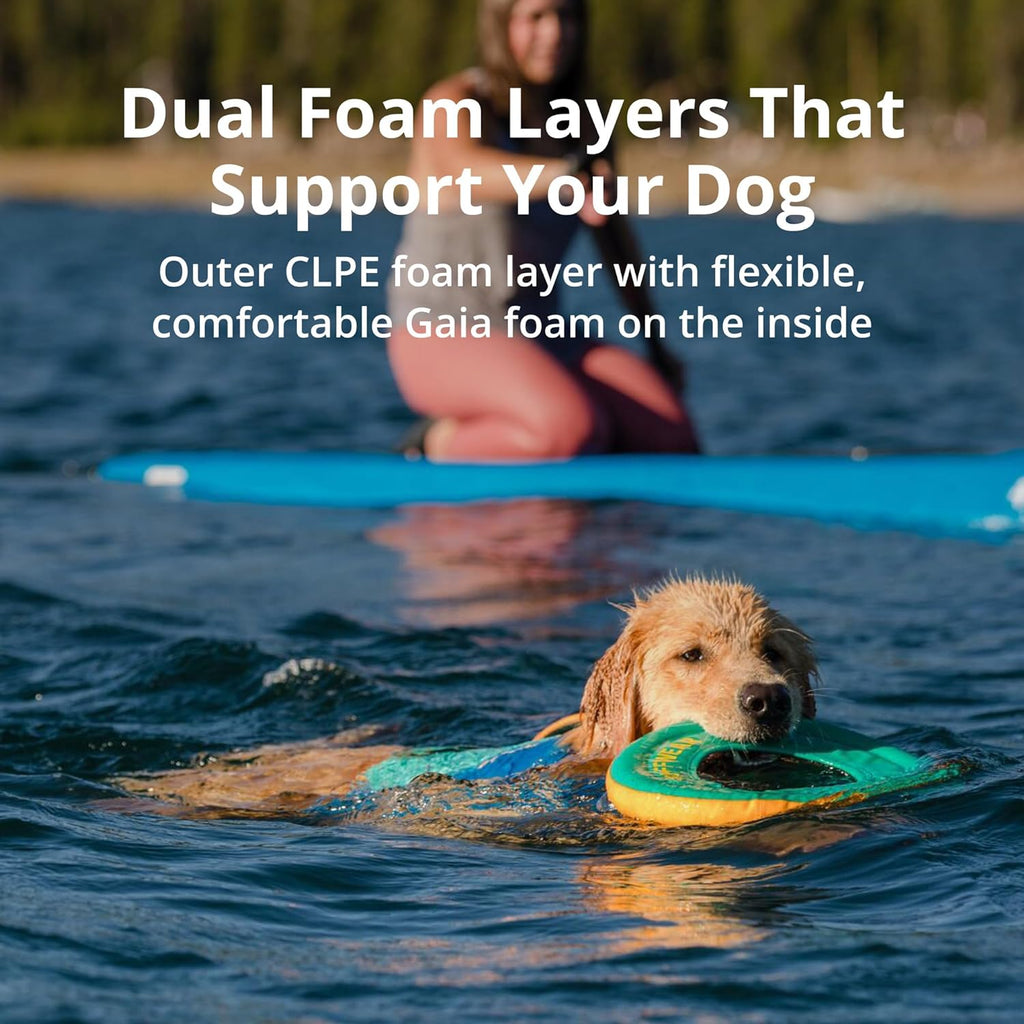 , Doggy Titanic Survival Suit: The Floaty Fashion Statement for Pooches Who Want to Make a Splash!