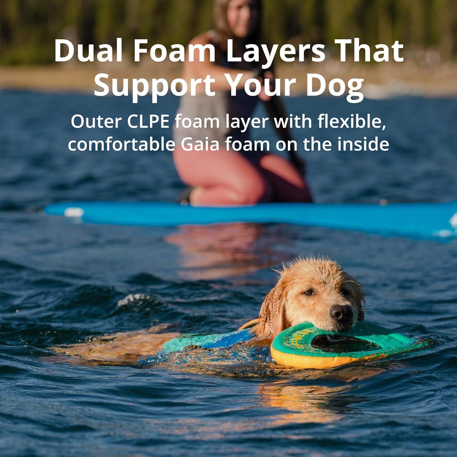 , Doggy Titanic Survival Suit: The Floaty Fashion Statement for Pooches Who Want to Make a Splash!