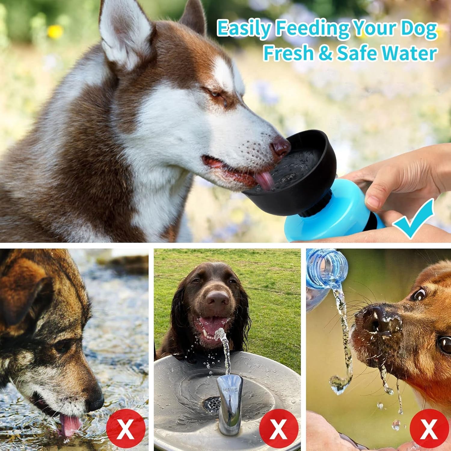 Sippy Cup for Pooches: The Ultimate Hydration Station for Thirsty Tails on the Go!