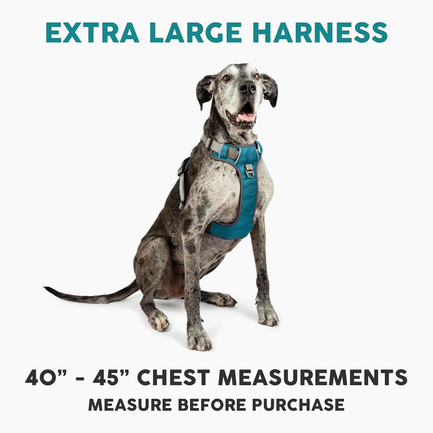 Embark Adventure XL Dog Harness – No-Pull, Reflective Trim, Military-Grade Nylon, 2 Leash Clips with Gel-Lined Handle, Soft & Padded