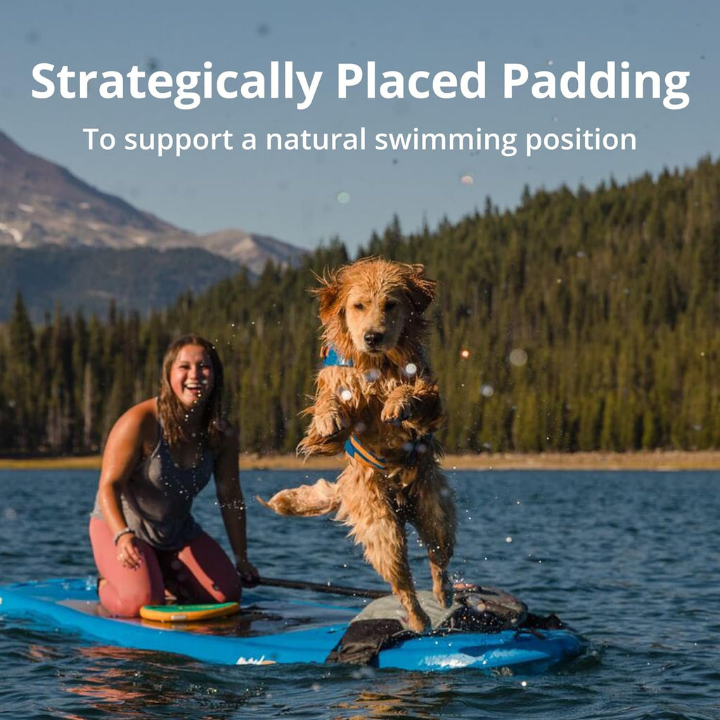 , Doggy Titanic Survival Suit: The Floaty Fashion Statement for Pooches Who Want to Make a Splash!