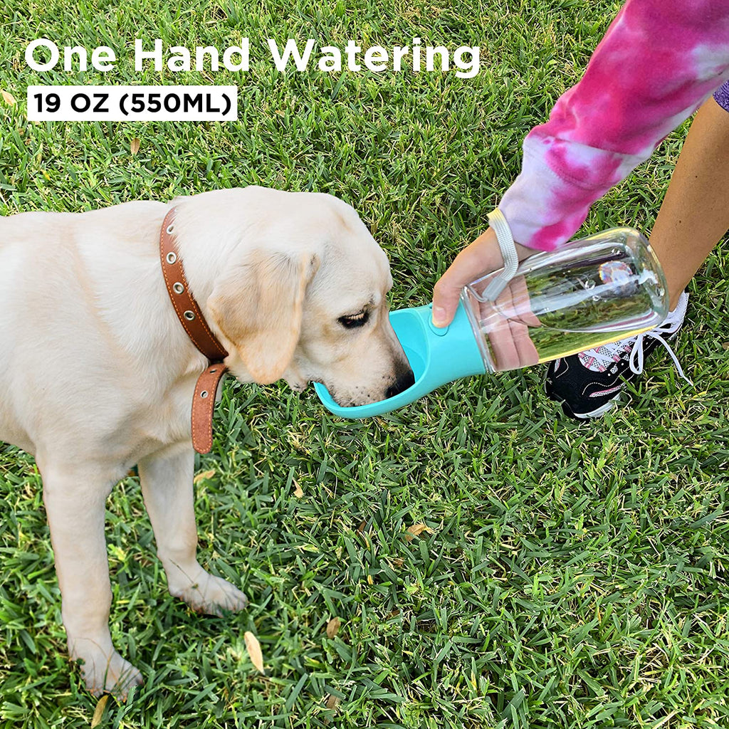 Thirsty Pup's Portable Puddle: The 19 Oz Adventure Sipper for Dogs Who Love to Hike and Hydrate!