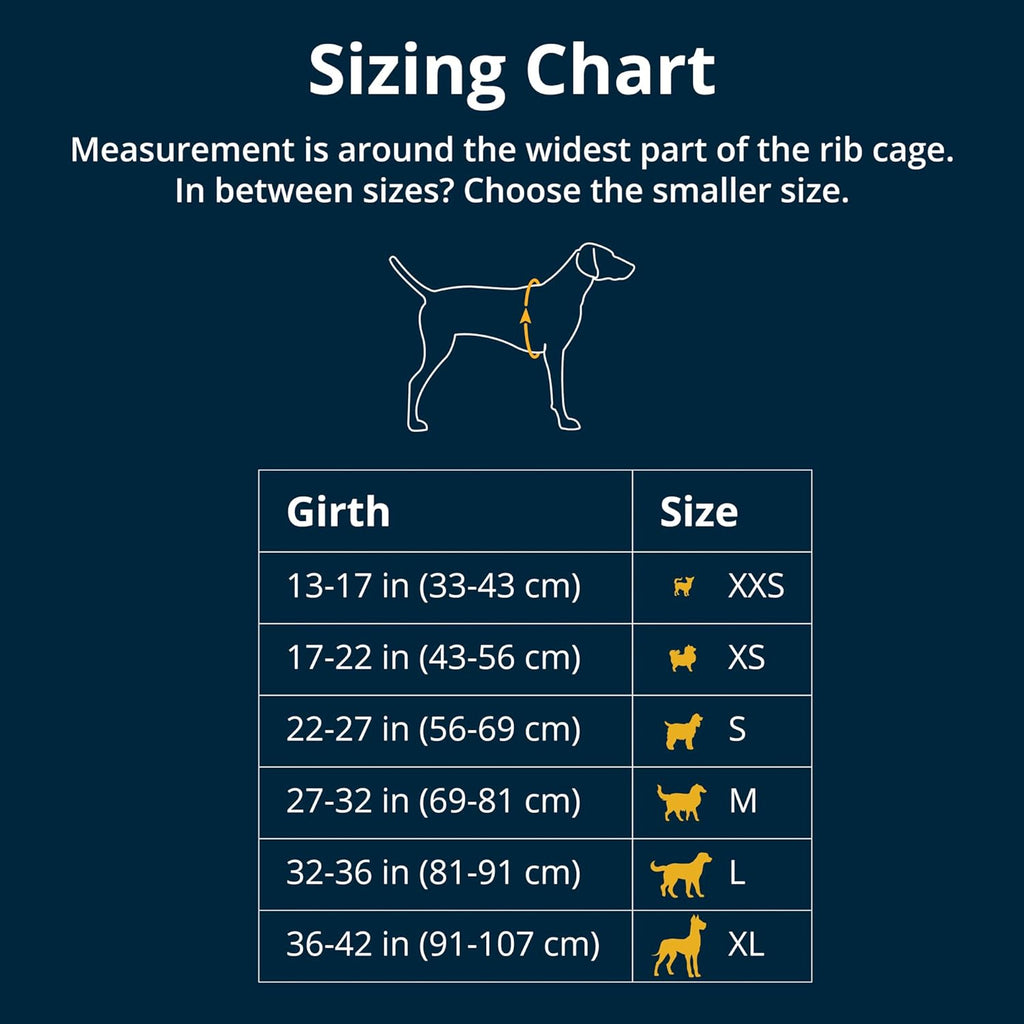 , Doggy Titanic Survival Suit: The Floaty Fashion Statement for Pooches Who Want to Make a Splash!