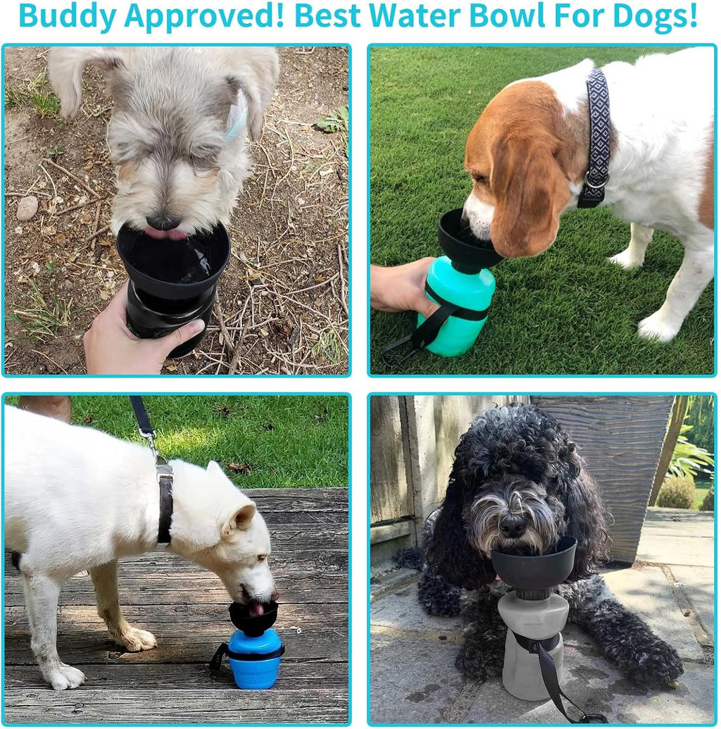 Sippy Cup for Pooches: The Ultimate Hydration Station for Thirsty Tails on the Go!