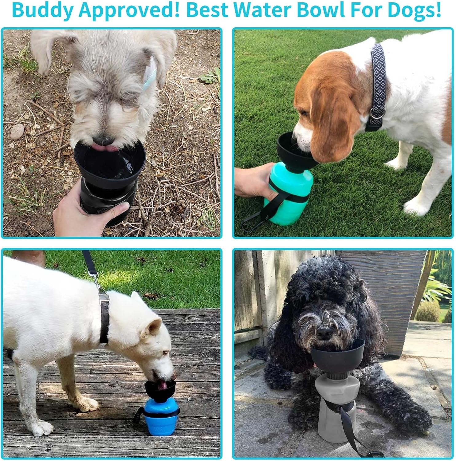 Sippy Cup for Pooches: The Ultimate Hydration Station for Thirsty Tails on the Go!