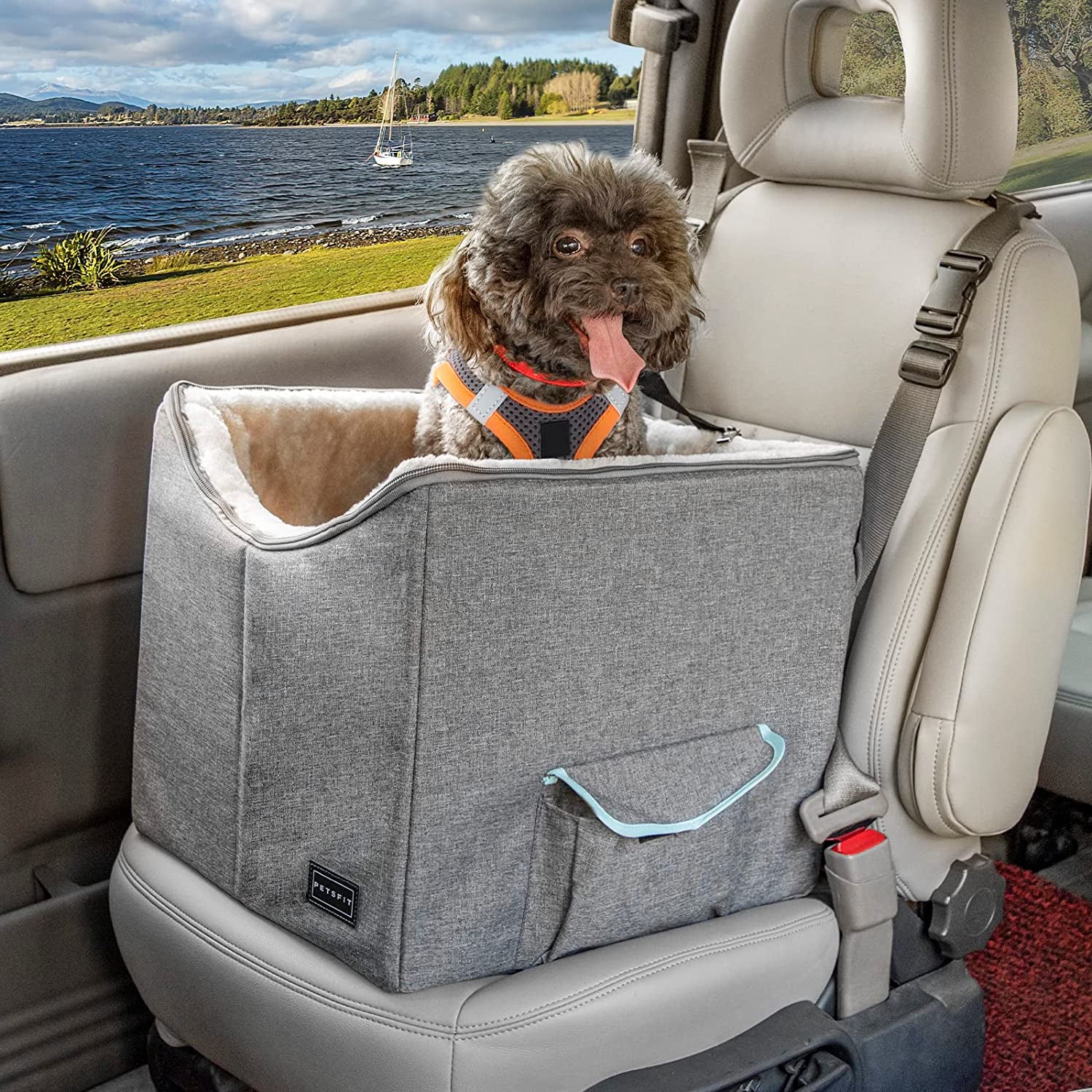 Small Dog Car Seat, Pet Travel Car Booster Seat with Safety Belt, Washable Double-Sided Cushion and Storage Pocket for Small Pet (Small, Light Grey)