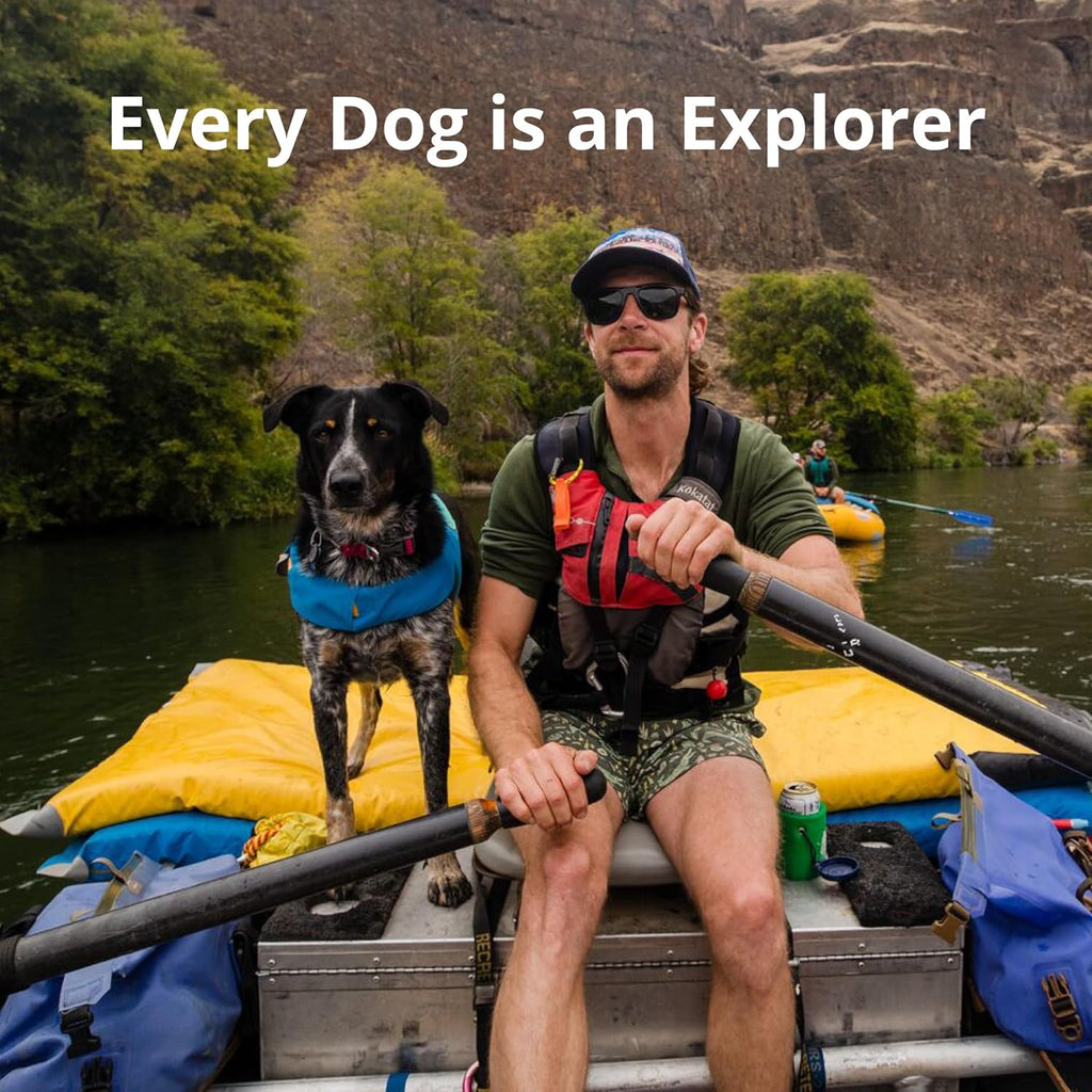 , Doggy Titanic Survival Suit: The Floaty Fashion Statement for Pooches Who Want to Make a Splash!