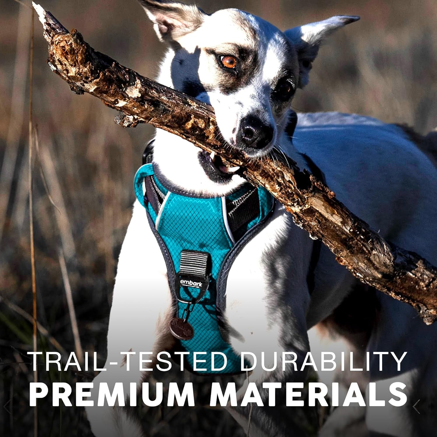 Embark Adventure XL Dog Harness – No-Pull, Reflective Trim, Military-Grade Nylon, 2 Leash Clips with Gel-Lined Handle, Soft & Padded